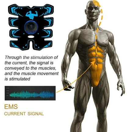 EMS8 Abdominal Muscle Trainer Plate